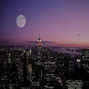 Picture for song 'Moon Harvest' by artist 'Kamileon'