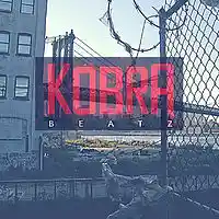 Picture for song 'Act of War' by artist 'Kobra Beatz'