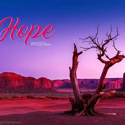 Picture for song 'HOPE' by artist 'PHOE9I6 Beats'