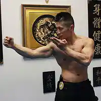 Picture for song 'Unfit Black Belt' by artist 'Sifu Freddie Lee'