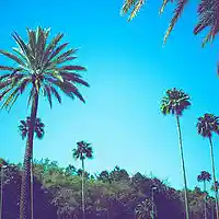 Picture for song 'Anouchka' by artist 'the lost highway'