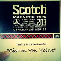 Picture for song 'Cisum Ym Yojne' by artist 'Turtle Necromancer'