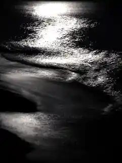 Picture for song 'PULLIN' DOUBLES' by artist 'Bob Sell'