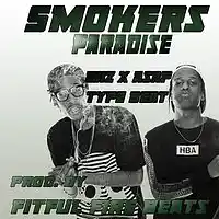 Picture for song 'smokers paradise (2/5/2016)' by artist 'fitful fire beats'