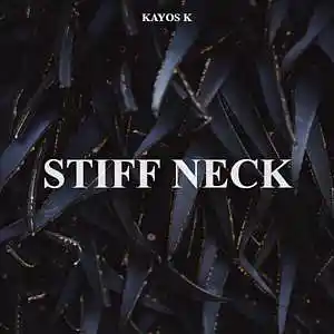 Picture for song 'Stiff Neck (Instrumental)' by artist 'Kayos K'