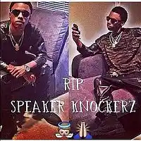 Picture for song 'speaker knockers RIP ' by artist 'lindanmusick'