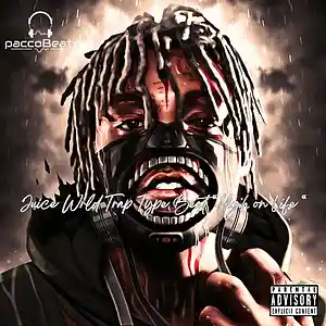 Picture for song 'Juice Wrld Trap Type Beat " High on Life"' by artist 'paccoBeats'