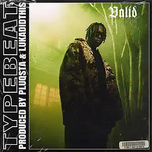 Picture for song 'VALID (BUY 1 GET 1 FREE)' by artist 'PLUQSTA'