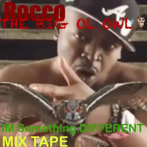Picture for song 'GETTING VERY USE TO YOU 833' by artist 'Rocco The Big Ol Owl'