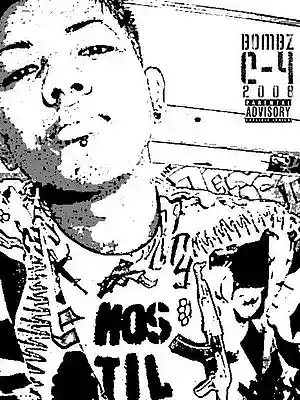cover pic