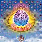 Picture for song 'ADVENTURES OF DR. GONZO LIVE' by artist 'DOCTOR COZMOS'