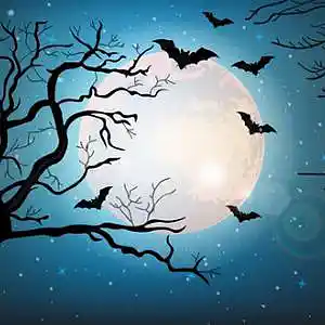 Picture for song 'lost days' by artist 'gary reynolds (VA)'