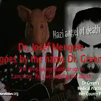 Picture for song 'LITTLE PIG SWINE Doctor Greens Medical Practice' by artist 'Lenny Llionstar n The Minstrel Gear 4'
