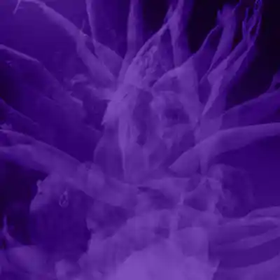 Picture for song 'Slow Motion (Loe Shimmy x Don Toliver x Veeze)' by artist 'LEXI BANKS'