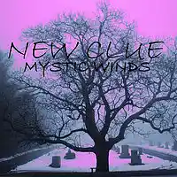 Picture for song 'Mystic Winds (NewClue)' by artist 'NewClue'