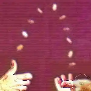 Picture for song 'flippin' by artist 'Oson'