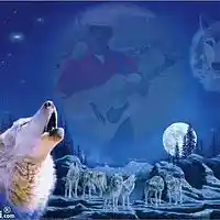 Picture for song 'A distant traveler' by artist 'Rocky Del Arnold'