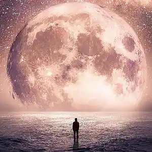 Picture for song 'Feeling The Heart' by artist '2uo8eats'