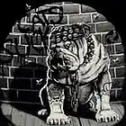 Picture for song 'Smack My bi*** Up' by artist 'Dj X-Plozion'