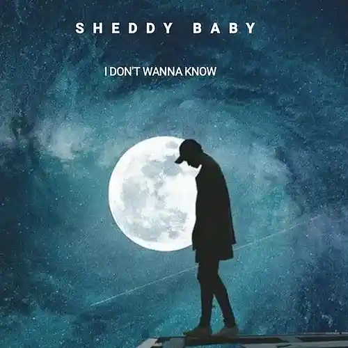 Picture for song 'Sheddy-Baby-I-Dont-Wanna-Know--Mario-Winans-Cover' by artist 'Sheddy Baby'
