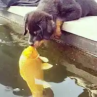 Picture for song 'In good well was 1.....' by artist 'stefanos grigoriadis'