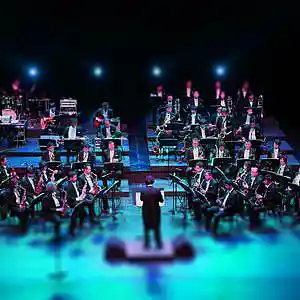 Picture for song 'BIG BAND MUSIC' by artist 'STEVE VICIOUS'