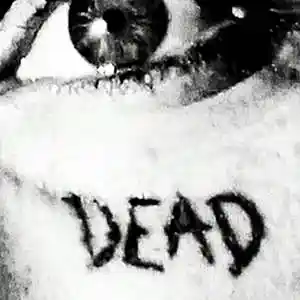 Song picture