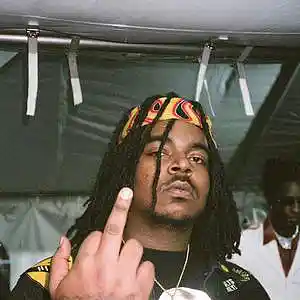 Picture for song 'Met Gala' by artist 'WhydahBeatz'