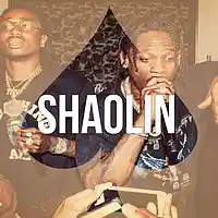 Picture for song 'Shaolin' by artist 'ACE AP PRODUCTIONS'