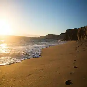 Picture for song '01 Standing on a beach' by artist 'Deep Transit'