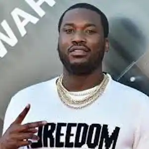 Picture for song 'Meek Mill type Beat "Thug Hippy"' by artist 'Fr33 Odyssey'