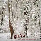 Picture for song 'Because of You' by artist 'GNAW (USA)'
