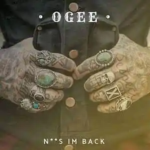Picture for song 'N***s Im_Back' by artist 'OG Labron'