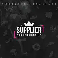 Picture for song '*Supplier* New Banger (Free DL)' by artist 'Sean Bentley'