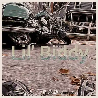 Picture for song 'Lil Biddy' by artist 'Turtle Necromancer'