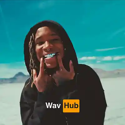Picture for song 'Remember Me (Nine Vicious Sample Type Beat)' by artist 'Wav Hub'