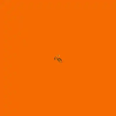 Picture for song 'Fall' by artist 'WRLD RAD'