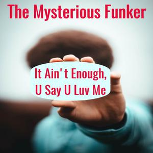 Picture for song 'It Ain't Enough, U Say U Luv Me (House Mix)' by artist 'The Mysterious Funker'