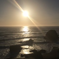 Picture for song 'clear day' by artist 'Algae Association'