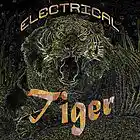 Picture for song 'Electrical Tiger' by artist 'BK Nerd Beats'