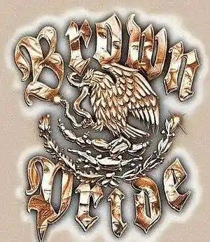 cover pic