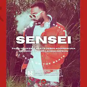 Picture for song 'SENSEI' by artist 'Dey x'