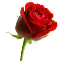 Picture for song 'Your Favorite Song' by artist 'DIGITALMUZICGROUP'