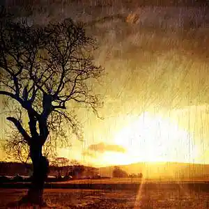Picture for song 'Turn It Over' by artist 'Distant Towers'