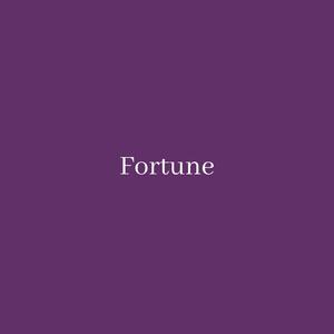 Picture for song '"Fortune" - Travis Scott Type Beat' by artist 'DJ Mauri B'
