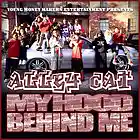 Picture for song 'ALLEY CAT - THEY CALL ME ALLEY CAT' by artist 'DMoney In Da Building!'