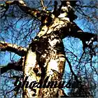 Song picture