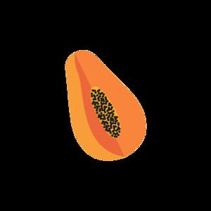 Picture for song 'PapayaWhip' by artist 'Hans E'
