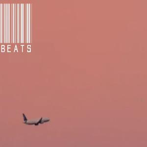 Picture for song 'Curren$y x Wiz Khalifa x Cardo Got Wings Type Beat' by artist 'i501KINGBEATS'