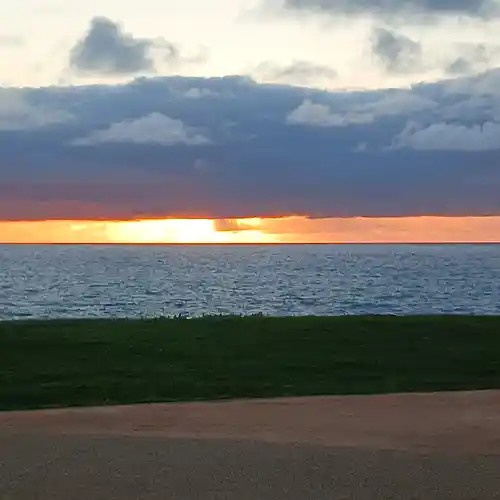 cover pic